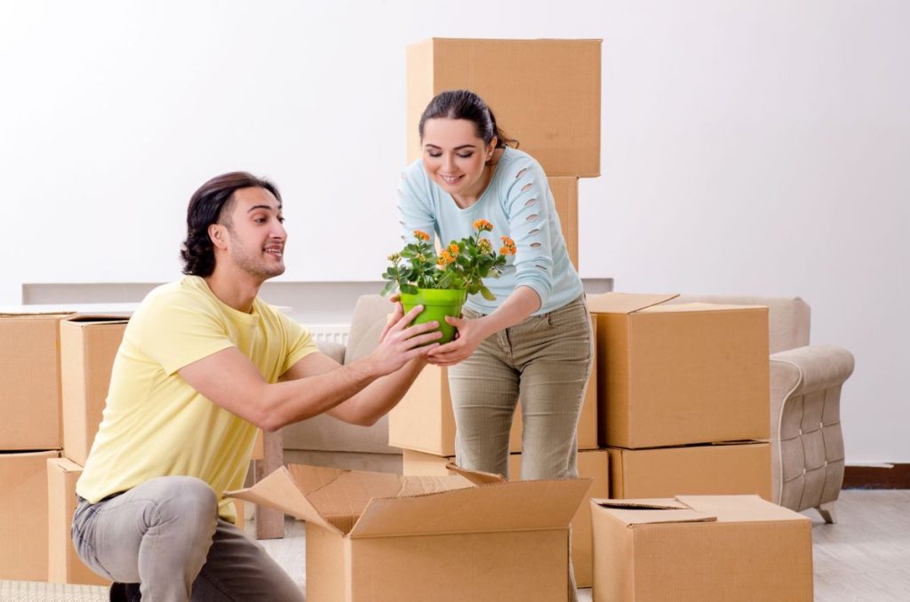 safe ship moving services reviews